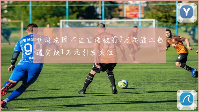 焦海龙因不当言语被罚3万元潘江也遭罚款1万元引发关注