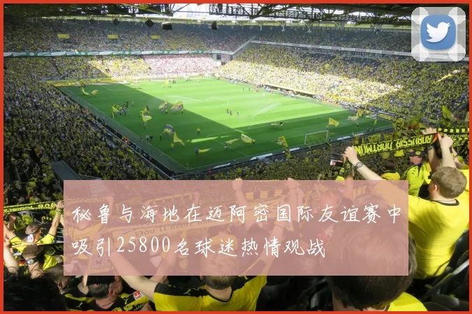 秘鲁与海地在迈阿密国际友谊赛中吸引25800名球迷热情观战