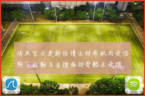 埃及官方更新伤情法特希肌肉受伤阿卜杜勒马吉德面部骨骼未受损