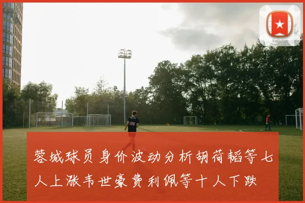 蓉城球员身价波动分析胡荷韬等七人上涨韦世豪费利佩等十人下跌
